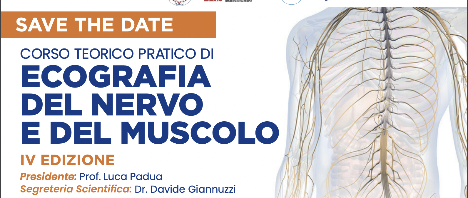 Corso teorico pratico di ECOGRAFIA DEL NERVO E DEL MUSCOLO – IV edizione